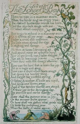The School Boy, plate 12 from Songs of Innocence, 1789